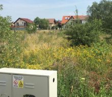 received_282479135903201