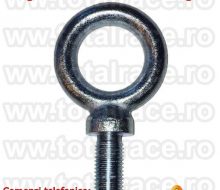 ineleridicareochetsurubtijalungaarticol59trg02