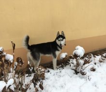 7CBB73D2-2171-416B-8867-BC1DB27410F0